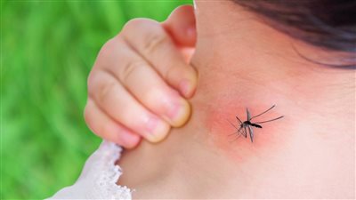 أخبار مصر اليوم: تحذير عاجل لأهالي سفاجا من المياه.. مصر واليابان ترفضان التهجير القسري للفلسطينيين