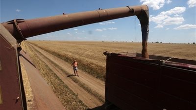 زراعة قنا: نستهدف 15 ألف مزارع في مبادرة 