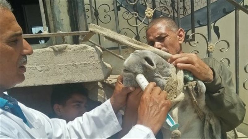 جامعة الزقازيق:قافلة