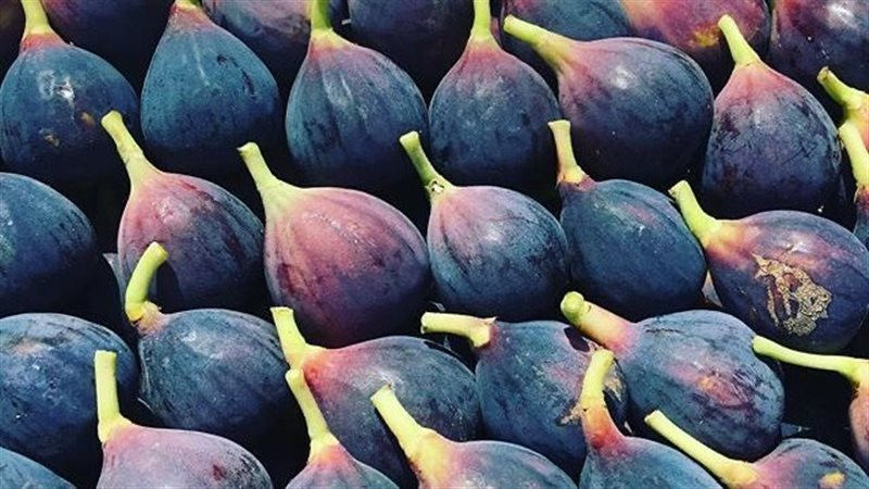 أسعار الفاكهة اليوم،