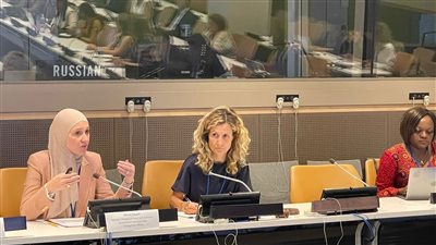 مساعد وزيرة التخطيط تستعرض تجربة مصر في استخدام التقنيات المتطورة لدعم إعداد التقارير الوطنية