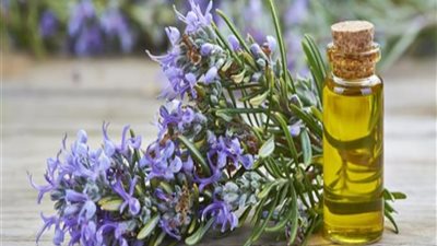 طرق استخدام زيت الروز ماري للشعر، يعيد إنباته ويزيد من جماله