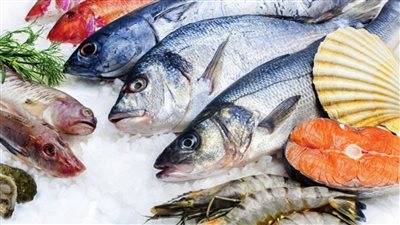 الربع كيلو بسعر 154 ألف جنيه، أغلى 5 أنواع من الأسماك في العالم 