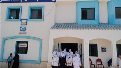 الكشف على 1013 مريضًا بقافلة علاجية بقرية منشأة النصر بالدقهلية