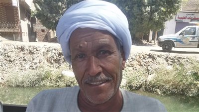 فاكهة الملوك تغزو الأسواق وتوفر فرص عمل موسمية لشباب الأقصر 