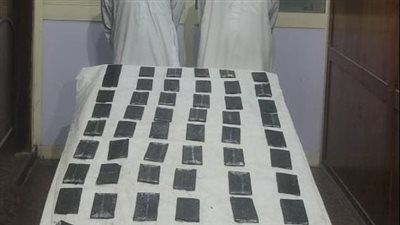 ضبط عصابة لتجارة المخدرات بالإسكندرية والإسماعيلية بمضبوطات بـ2.7 مليون جنيه (صور)