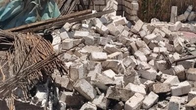 الموجة 21، إزالة 13 حالة تعد بالبحيرة (صور)