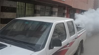 صحة الشرقية تعلن استمرار مكافحة الذباب والبعوض وناقلات الأمراض 