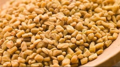 فوائد الحلبة، تساعد فى علاج نقص التغذية وقلة الوزن وتقوى المناعة