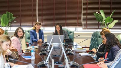 المشاط: نظام متابعة وتقييم مشروعات التمويل التنموي الميسر يرسي قواعد الحوكمة 