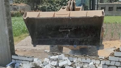 استرداد 303 أفدنة وإزالة 157 حالة تعد بالمنيا 