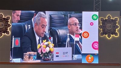 وزير العمل: مصر لم تقف مكتوفة الأيدي أمام التحديات العالمية