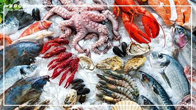 أسعار الأسماك اليوم الأحد 23-7-2023 في الدقهلية 