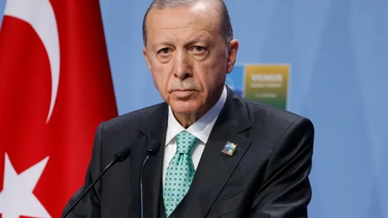 أردوغان، فيتو