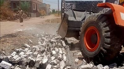 إزالة حالة تعد على أرض زراعية بأرمنت في الأقصر