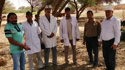 حملات توعوية لحماية وتنمية الثروة الحيوانية بالوادي الجديد (صور) 