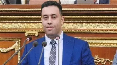  النائب أحمد فرغلي: تخارج الدولة من بعض الأنشطة خطر على الاقتصاد.. والطروحات الحكومية «خصخصة وبيع بشكل جديد» (حوار)