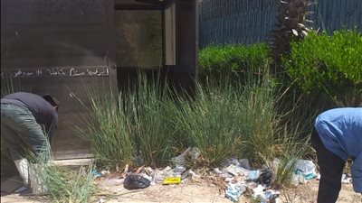 رفع كفاءة المسطحات الخضراء بنادي الفيروز في الإسماعيلية