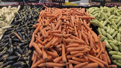 أسعار الخضراوات اليوم الاثنين 24-7-2023 في الدقهلية