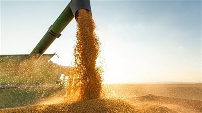 توسيع شبكة السفارات الروسية والبعثات التجارية.. خطة موسكو لتعويض صادرات الحبوب الأوكرانية لأفريقيا