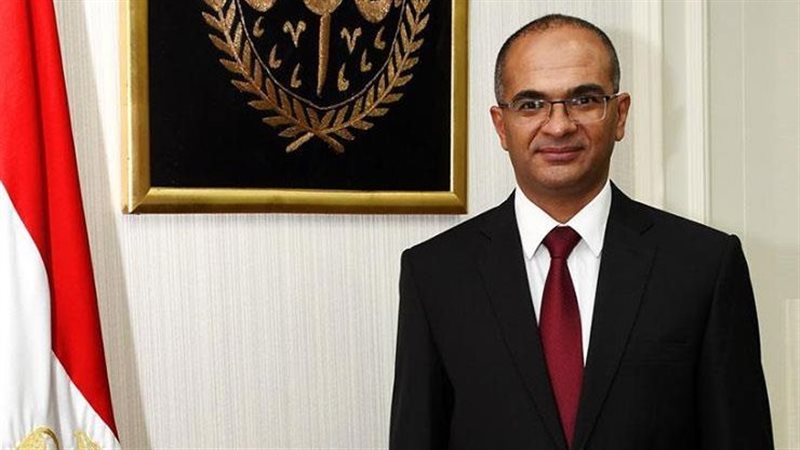 د. سيد إسماعيل نائب
