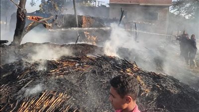  حريق بحظيرتي ماشية بقرية أم قمص بالمنيا