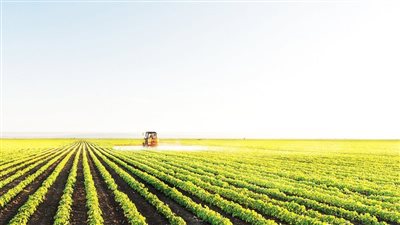 في يومها العالمي، كيف تلعب الأراضي الرطبة دورا في تحقيق الأمن الغذائي