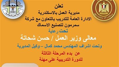 وزارة العمل: تدريب الشباب على مهنة تصنيع الأسماك بالإسكندرية 