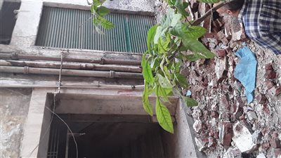 النيابة العامة تعاين موقع انهيار شرفة عقار بمنطقة اللبان في الإسكندرية 