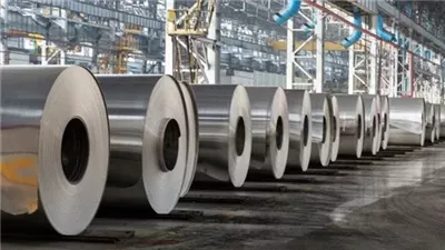  قانون قطاع الأعمال العام، شروط وضع اللوائح فى الشركات