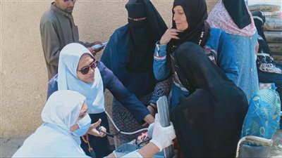 الكشف على 695 حالة ضمن قافلة طبية بقرية أم حبيب في الإسماعيلية (صور) 