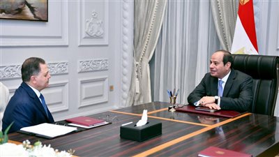  السيسي يجتمع بوزير الداخلية ويتابع الموقف التنفيذي لتطور الأعمال بالعاصمة الجديدة (فيديو)