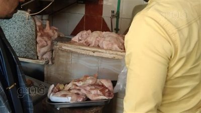 ضبط دواجن فاسدة قبل بيعها لأهالي واحات الوادي الجديد 