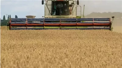 التموين تكشف حقيقة استيراد قمح إماراتي مزروع في مصر بـ500 مليون دولار