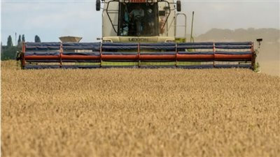 روسيا تطمئن حلفائها: هنعوّض فاقد القمح الأوكراني للدول المحتاجة بعيدا عن اتفاق الحبوب