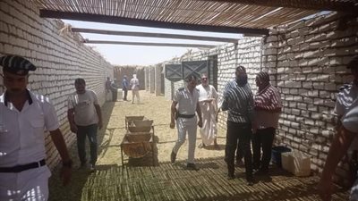 إزالة تعديات على أملاك الدولة بالوادي الجديد 