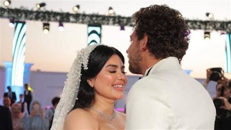دالا المهندس،فيتو