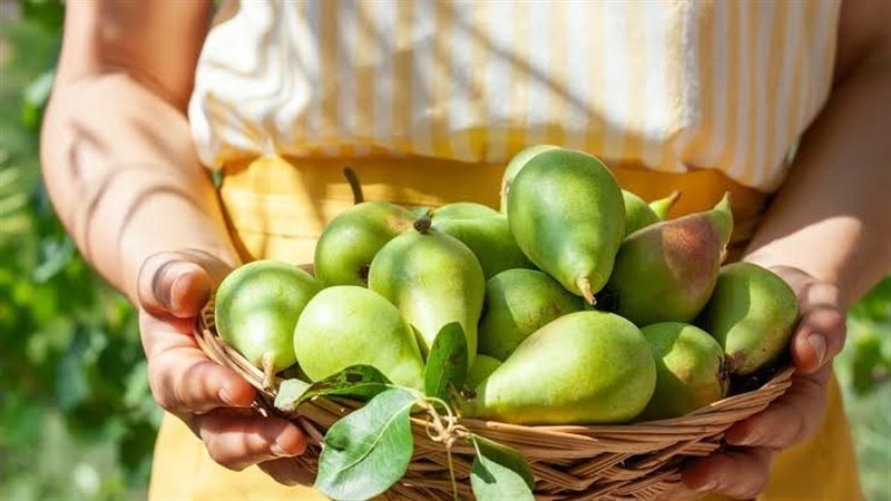فوائد الكمثرى، فيتو