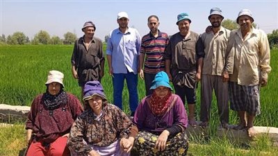 زراعة الشرقية تنظم يوم حقل إرشادى عن الأرز