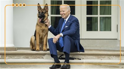 كلب بايدن يتعدى على ضباط البيت الأبيض.. ما القصة؟ ( فيديوجراف)