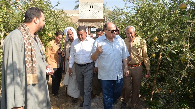 محافظ أسيوط يتفقد
