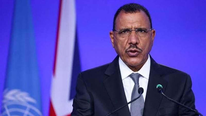 رئيس النيجر، فيتو