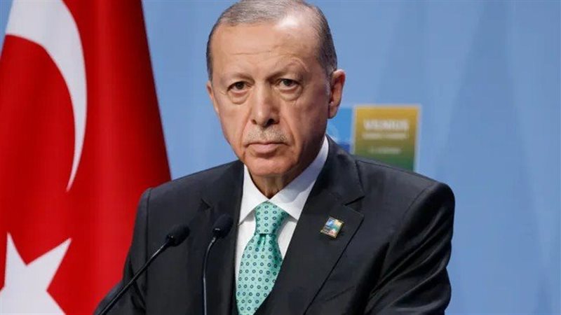 اردوغان، فيتو 