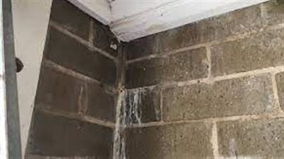 تفسير حلم خروج الماء من الجدار في المنام وعلاقته بانتهاء المشاكل