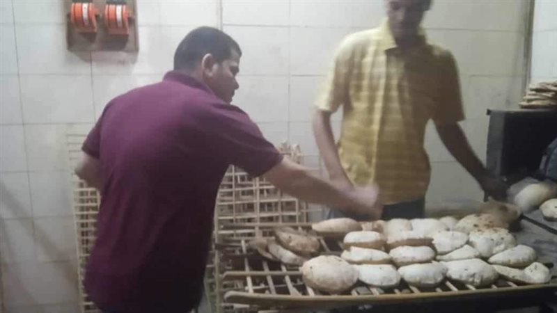 تحرير 150 محضرا تموينيا،