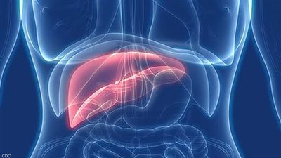 الفئات الأكثر عرضة للإصابة بفيروسات الكبد بي وسي، وكيفية الوقاية منه؟ طبيب يجيب (فيديو)