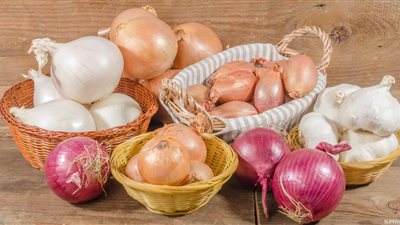 74 مليون دولار صادرات بصل طازج خلال الـ 4 أشهر الأولى من 2023