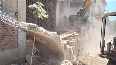 إزالة 141 حالة تعدي على أراضي الدولة في الدقهلية 