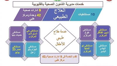 8 مستشفيات توفر خدمة العلاج الطبيعي للأطفال بالقليوبية، تعرف عليها