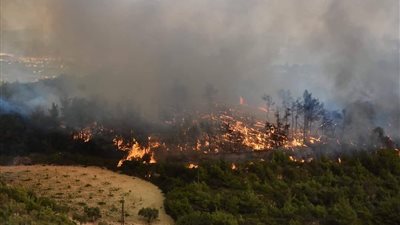 استمرار حرائق الغابات في سوريا لليوم الرابع على التوالي (صور)